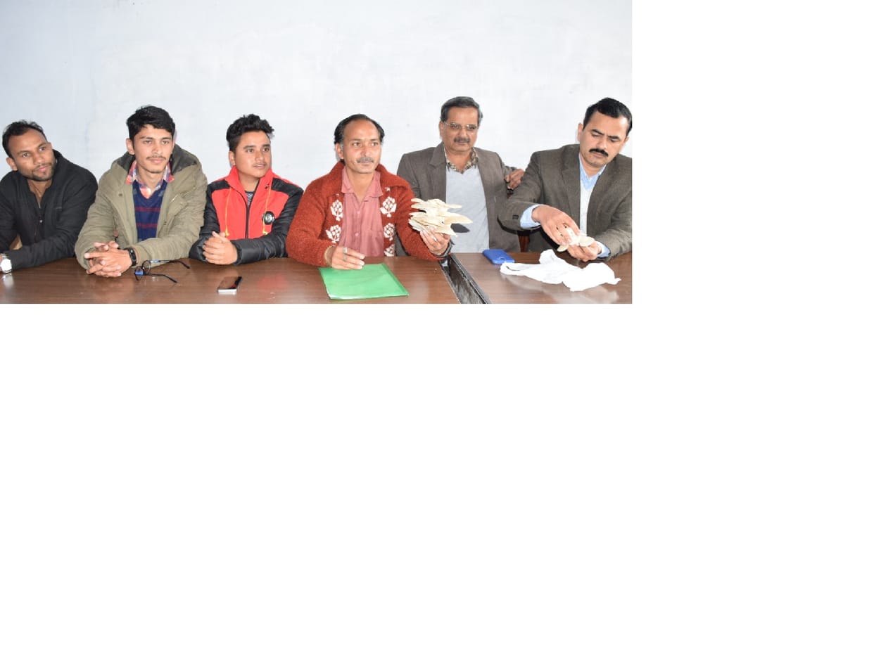 students cultivated new variety of mushroom