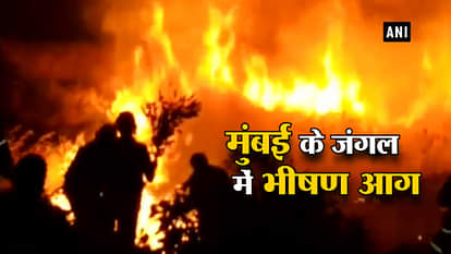 MUMBAI FIRE GOREGAON AAREY FOREST MASSIVE FIRE