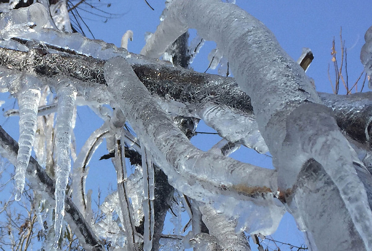 coldest night in srinagar, water stared freezing in jammu kashmir