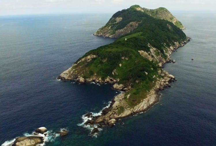 Know About Brazil Snake Island Most Dangerous Places In World - Amar ...