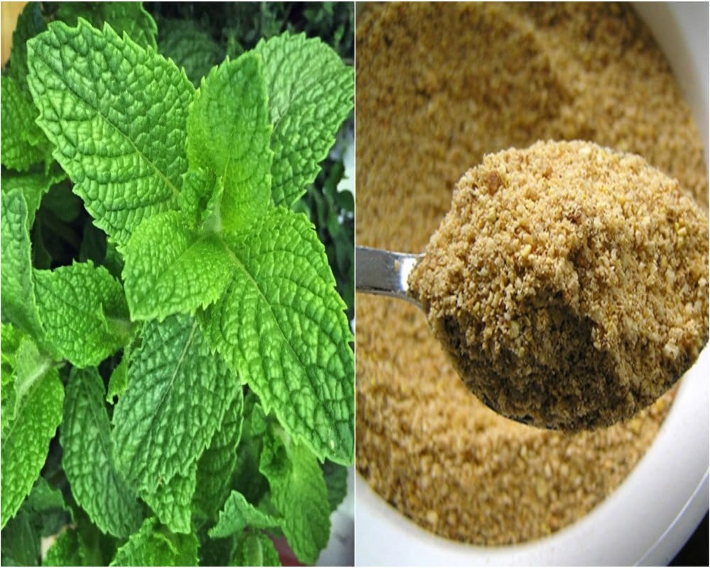 Know the amazing health benefits of mint and Hing or asafoetida