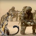 surgical strike