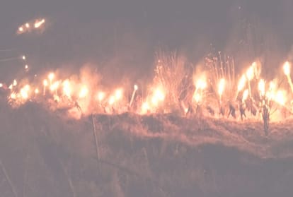 accurate information of forest fires will get in summer in himachal