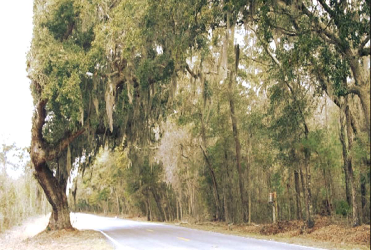 haunted roads in india must avoid to travel