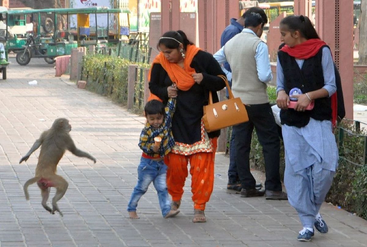 taj mahal ticket price increase three time within three years