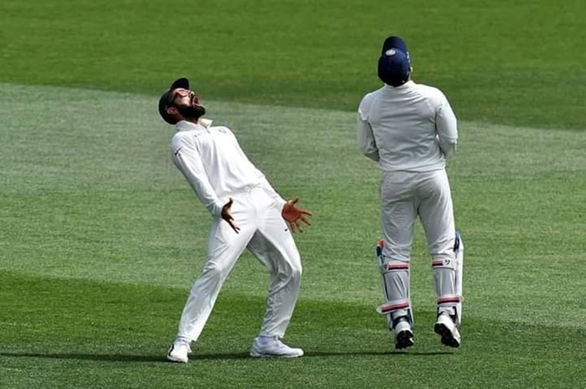 india vs australia first test virat kohli celebration photos