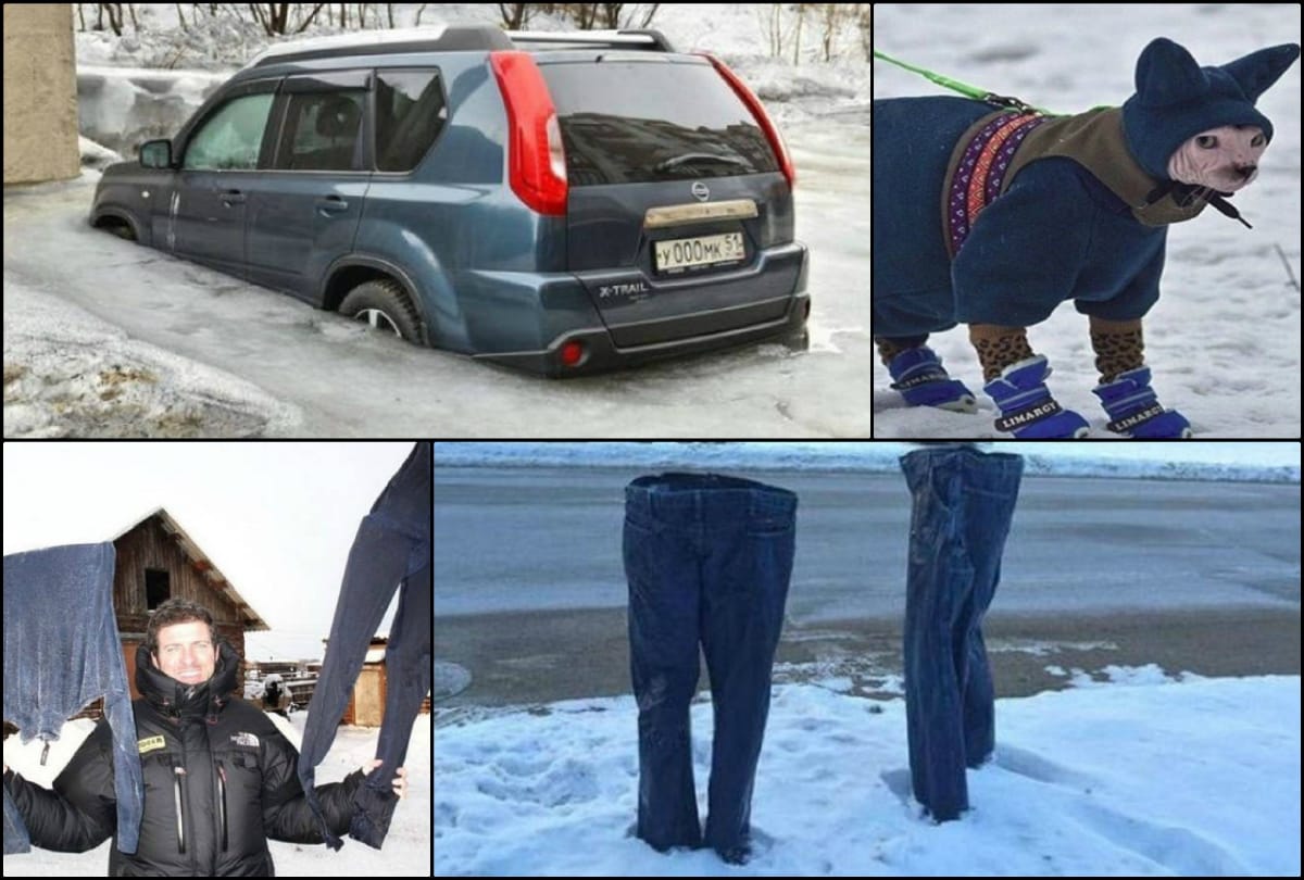 Funny photos of Winter season will make you laugh loud