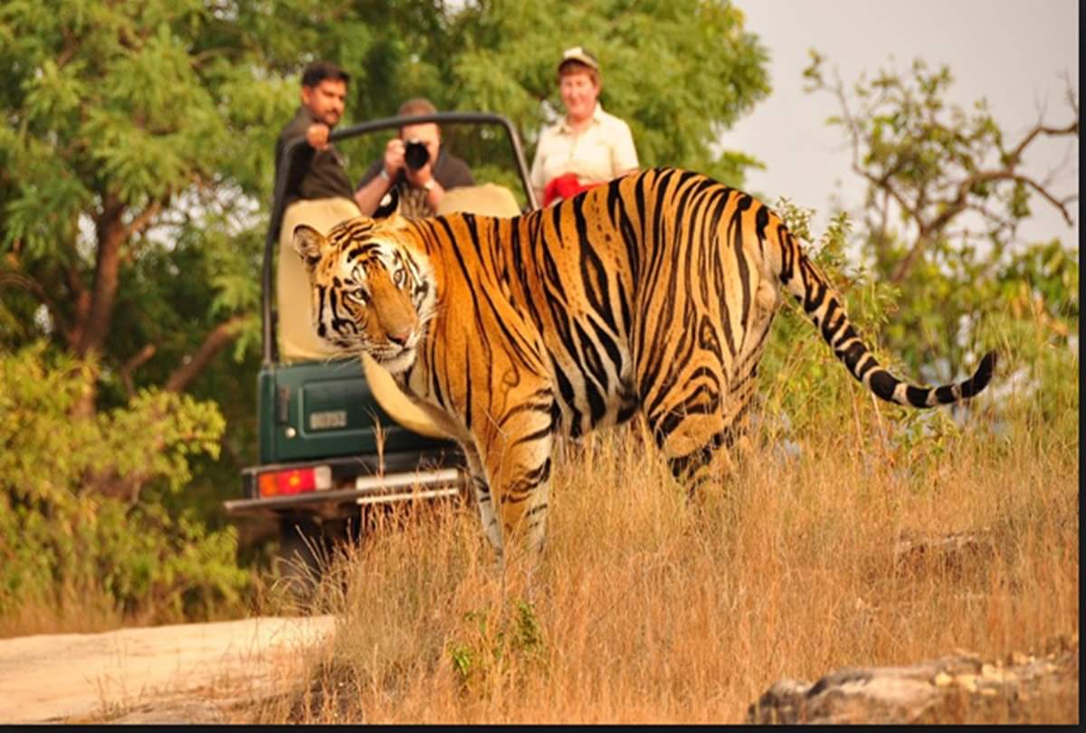 madhya pradesh best place to visit in deember