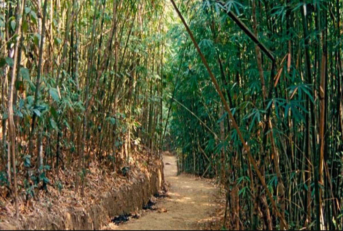 know the best place in mizoram for you memorable trip