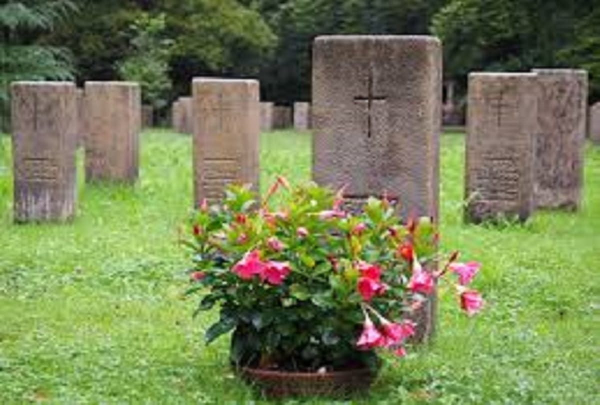 Strange things why are the old graves being dug in johannesburg south africa