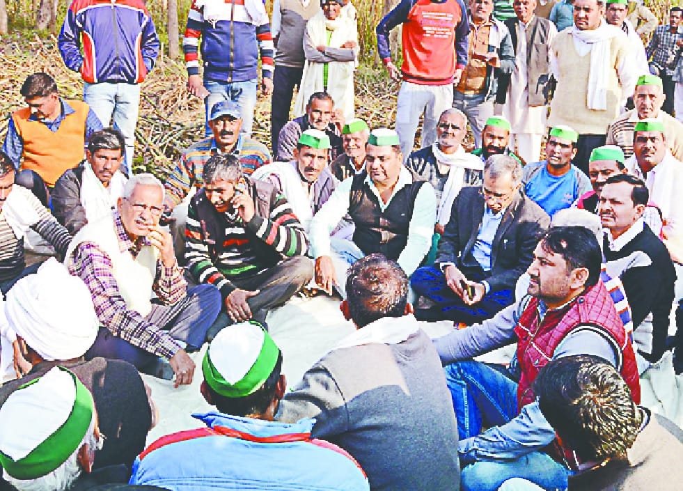 GM hosted DCO and Bialai Mill hosted in the farm