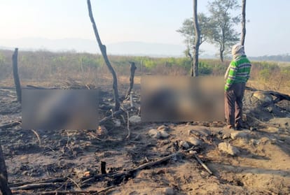 Buffalo burnt alive in cowshed due to fire in paonta himachal