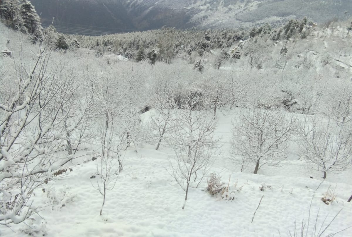 fresh snowfall recorded in himachal pradesh on 11 december