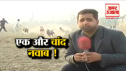 viral video pakistan reporter runs away when dogs come close to him