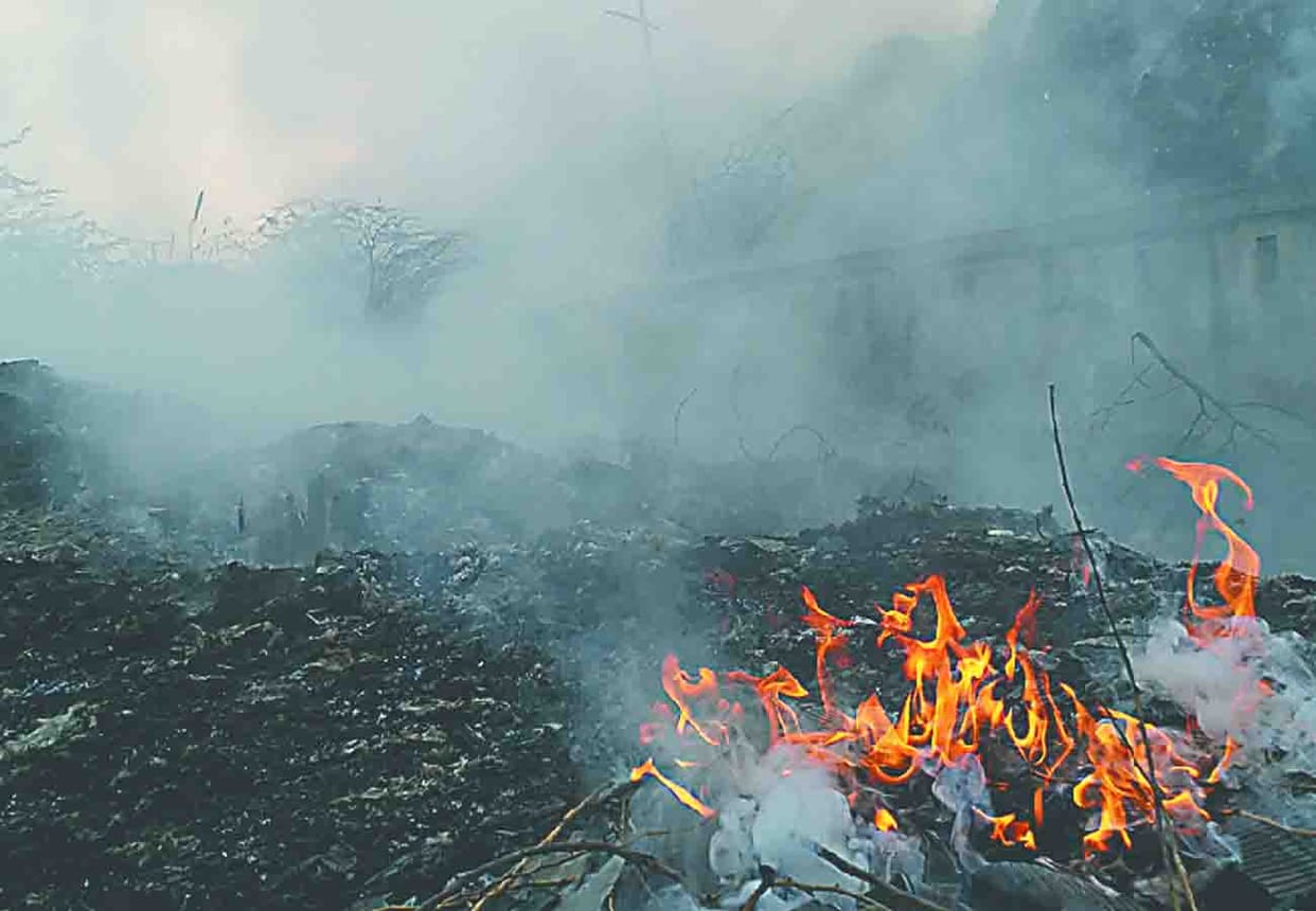 MCD issued 488 invoices in 24 hours for pollution