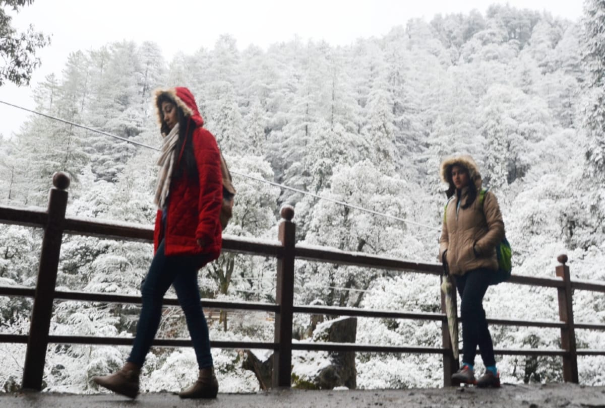 Toy Train on Kalka Shimla Heritage Track, Christmas and New Year Special Tour Package