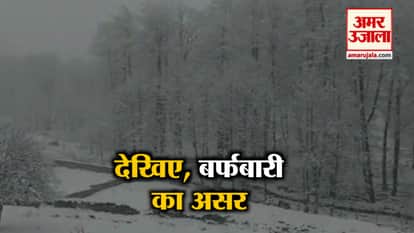 Shimla receives heavy snowfall and due to snowfall in Pir Panjal Mughal Road closed