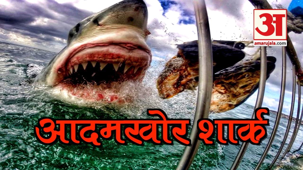 viral video