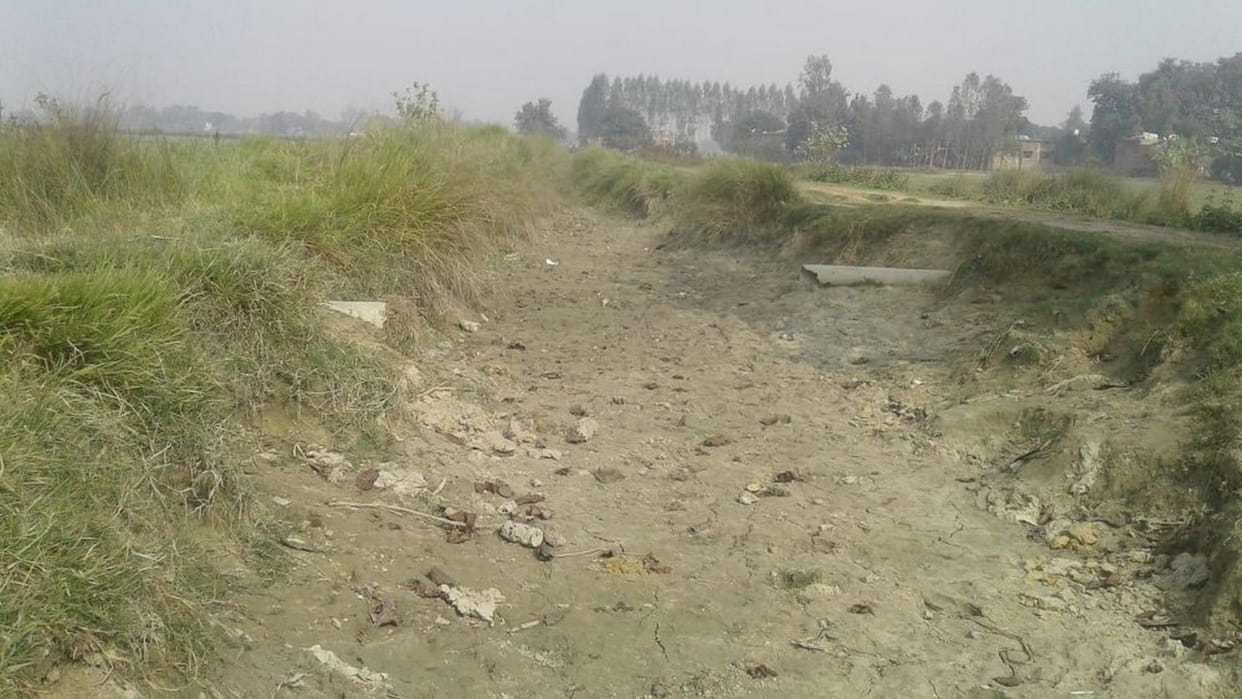 सिल्ट सफाई के नाम पर कुछ नहरों में हो रही घास फूस की कटाई