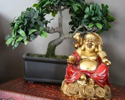 Why should not you buy Laughing Buddha with your own money