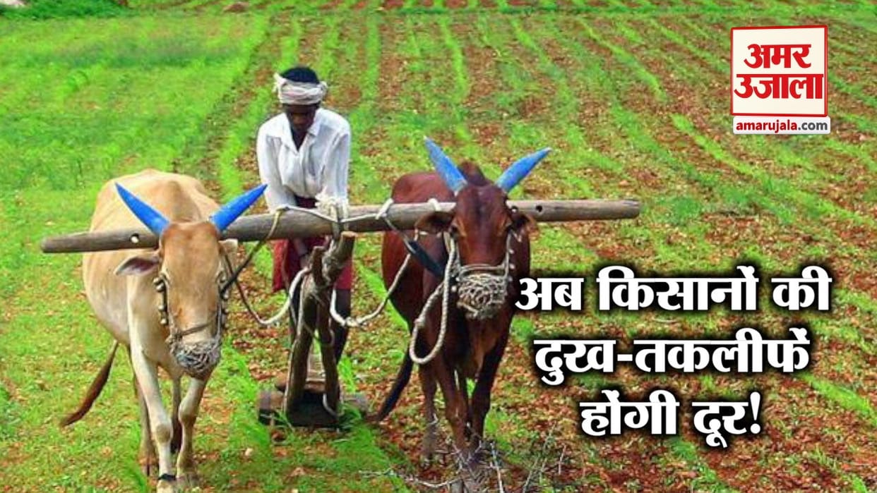 गन्ना किसानों के बकाया भुगतान को चीनी मिलों के लिए 98 करोड़ मंजूर: वितमंत्री