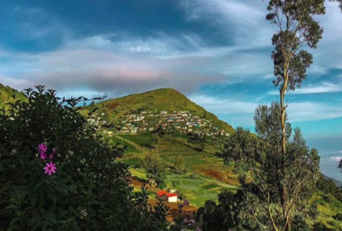 ooty best honeymoon destination among all couple