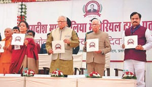 राजनीतिक विश्लेषण करना मेरा काम नहीं