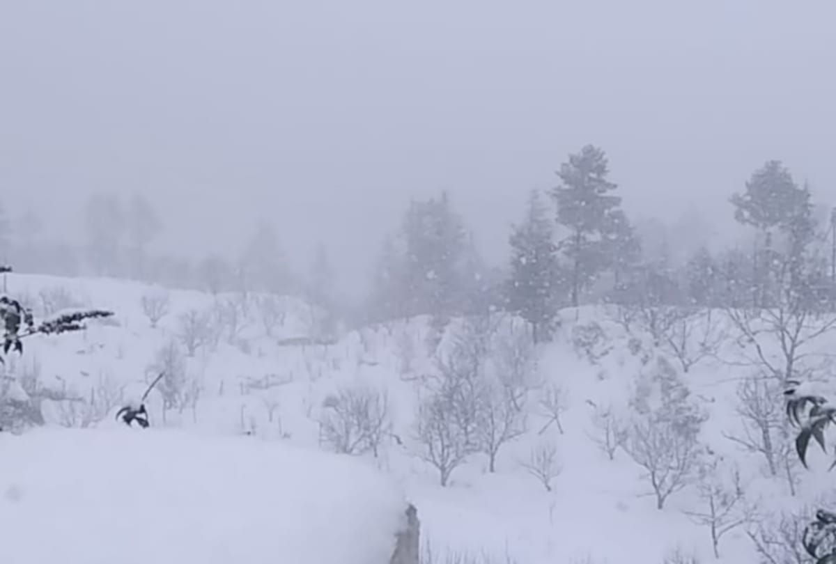 fresh snowfall recorded in kufri shimla himachal