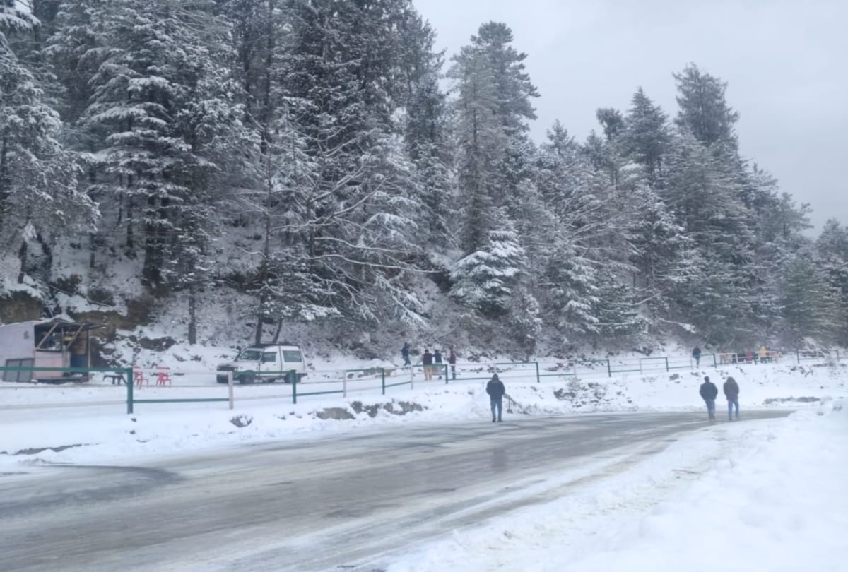 fresh snowfall recorded in kufri shimla himachal
