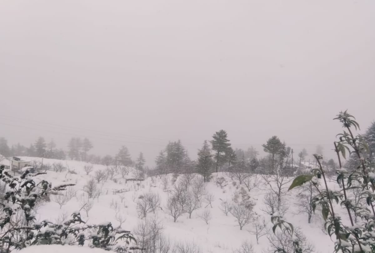 fresh snowfall recorded in kufri shimla himachal