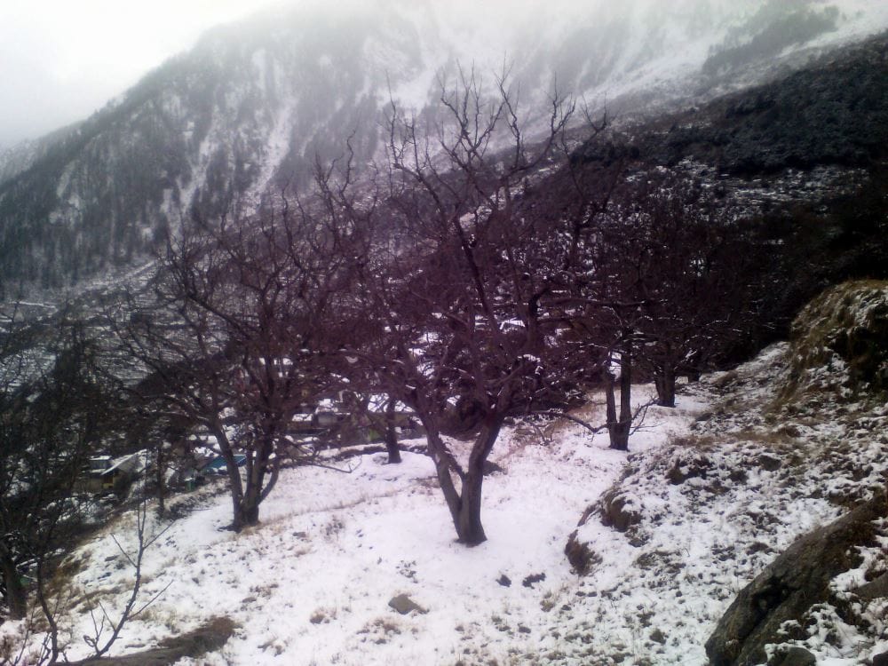 season coldest night recorded in jammu temperature recorded 3.5 degree