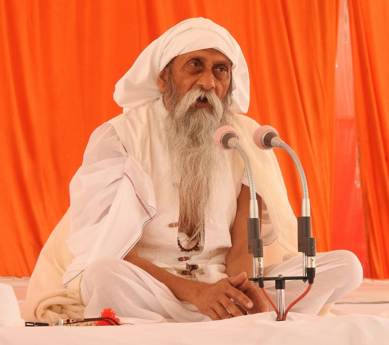 sant works for humanity