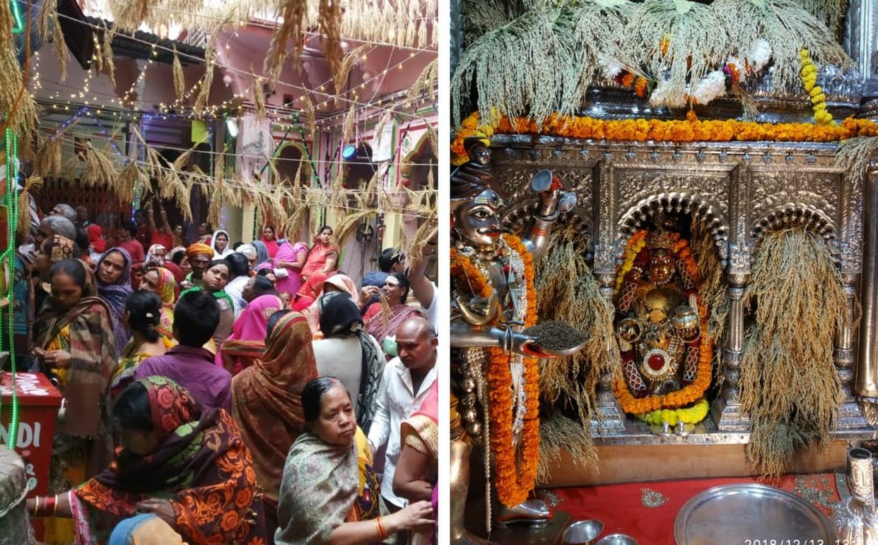 Maa annapurna temple decorated by paddy crop