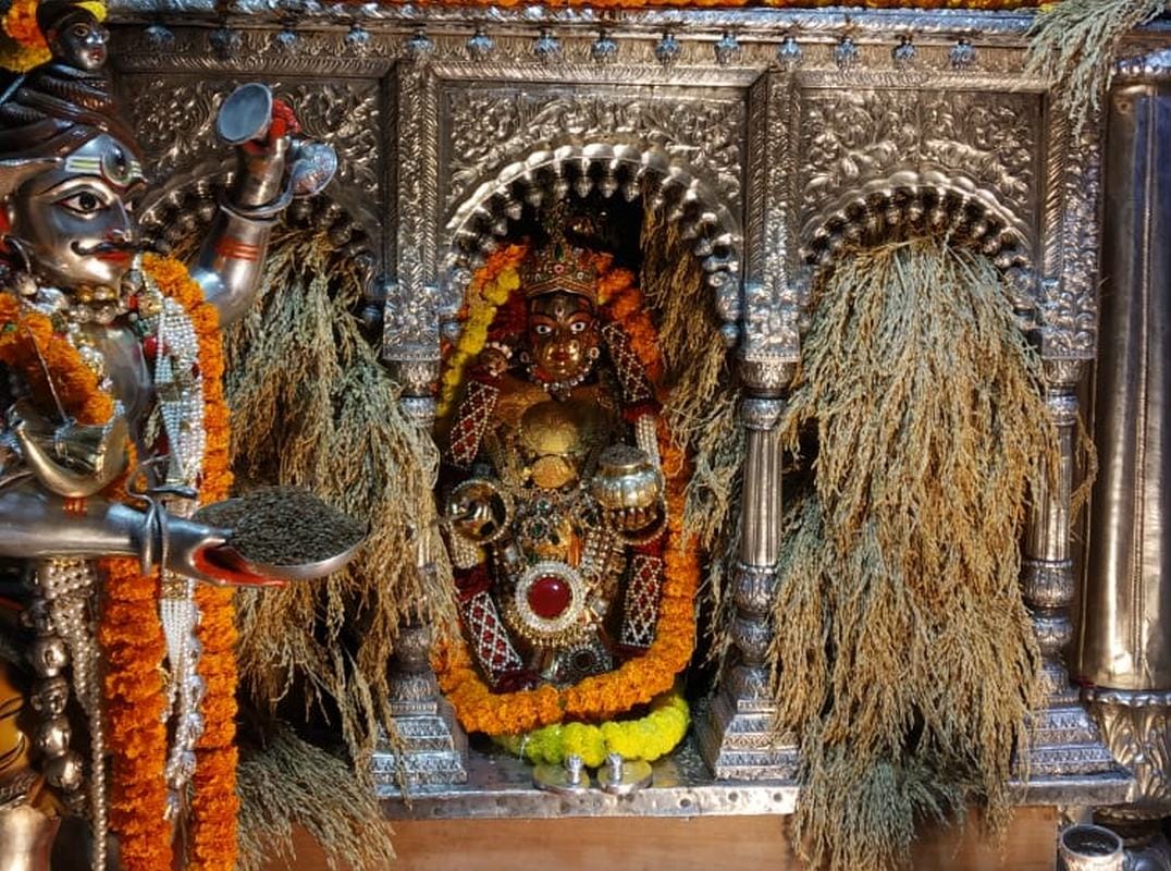 Maa annapurna temple decorated by paddy crop
