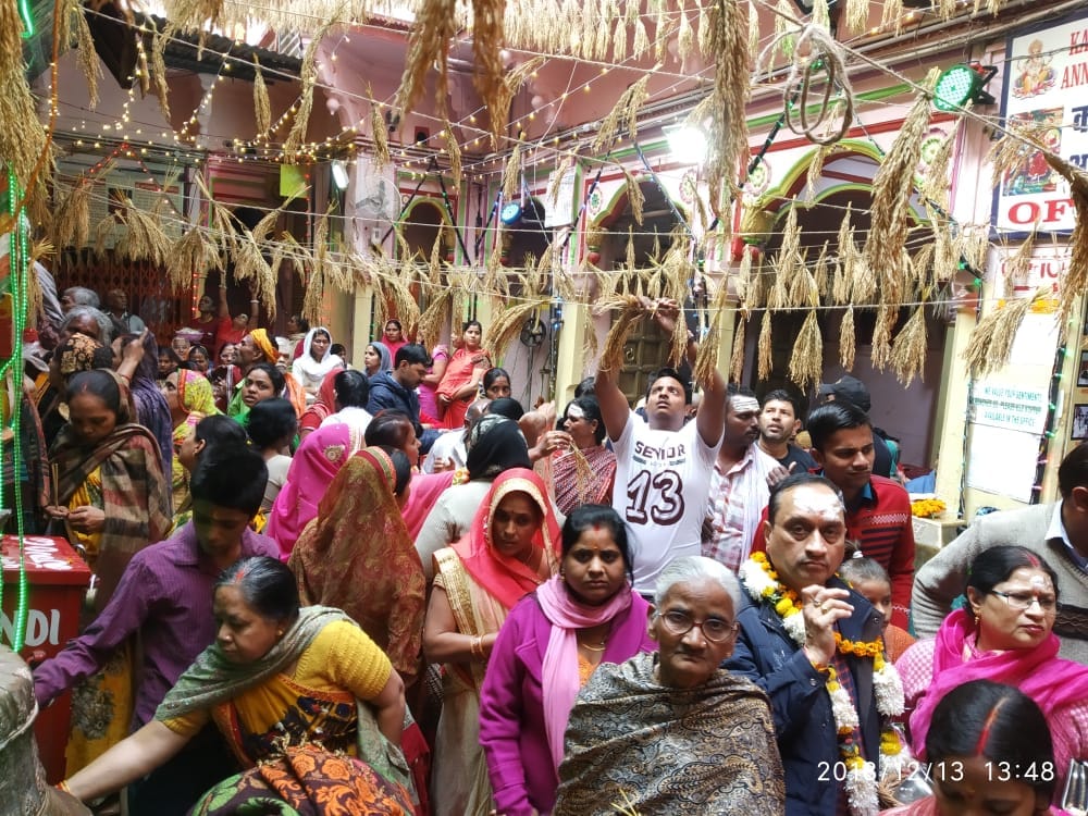Maa annapurna temple decorated by paddy crop