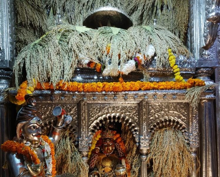 Maa annapurna temple decorated by paddy crop
