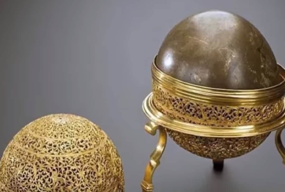 Such a Thing that Came Out of Stomach of Wild Boar, Man Become Millionaire