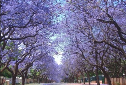 most beautiful street in the world