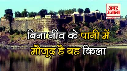 Rajasthan ganron fort: birds do things like human beings