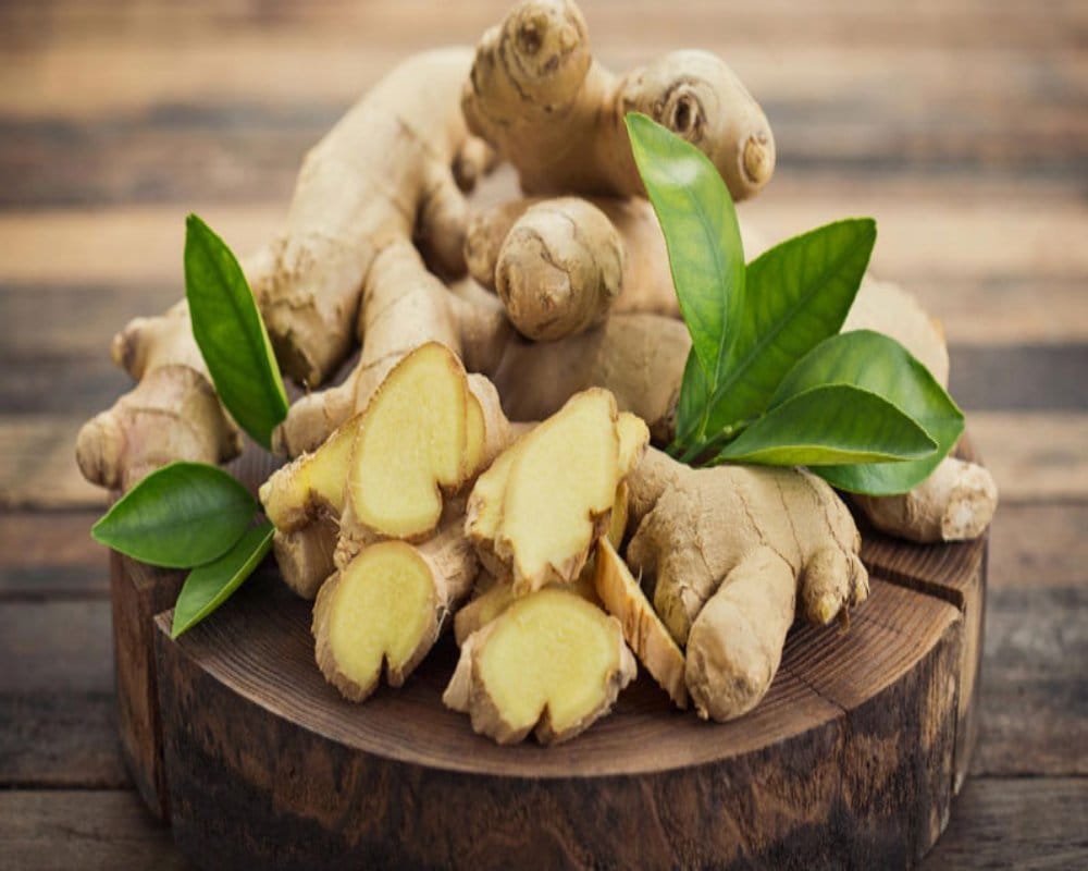 study based health benefits of ginger, weight reducing quality