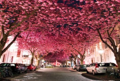 most beautiful street in the world