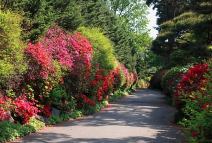 most beautiful street in the world
