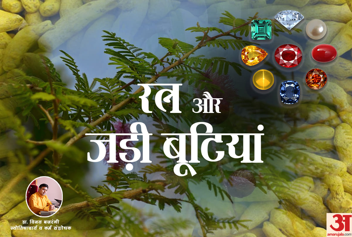 know benefits of tree roots by astrologer Dr. Vinay bajrangi