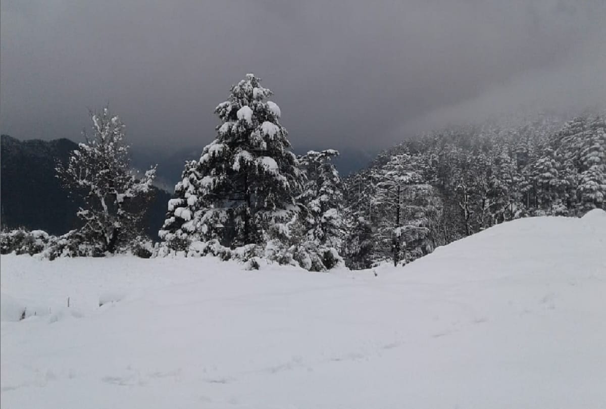 Jammu-Srinagar National Highway opened after 40 hours snowfall