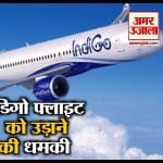 इंडिगो