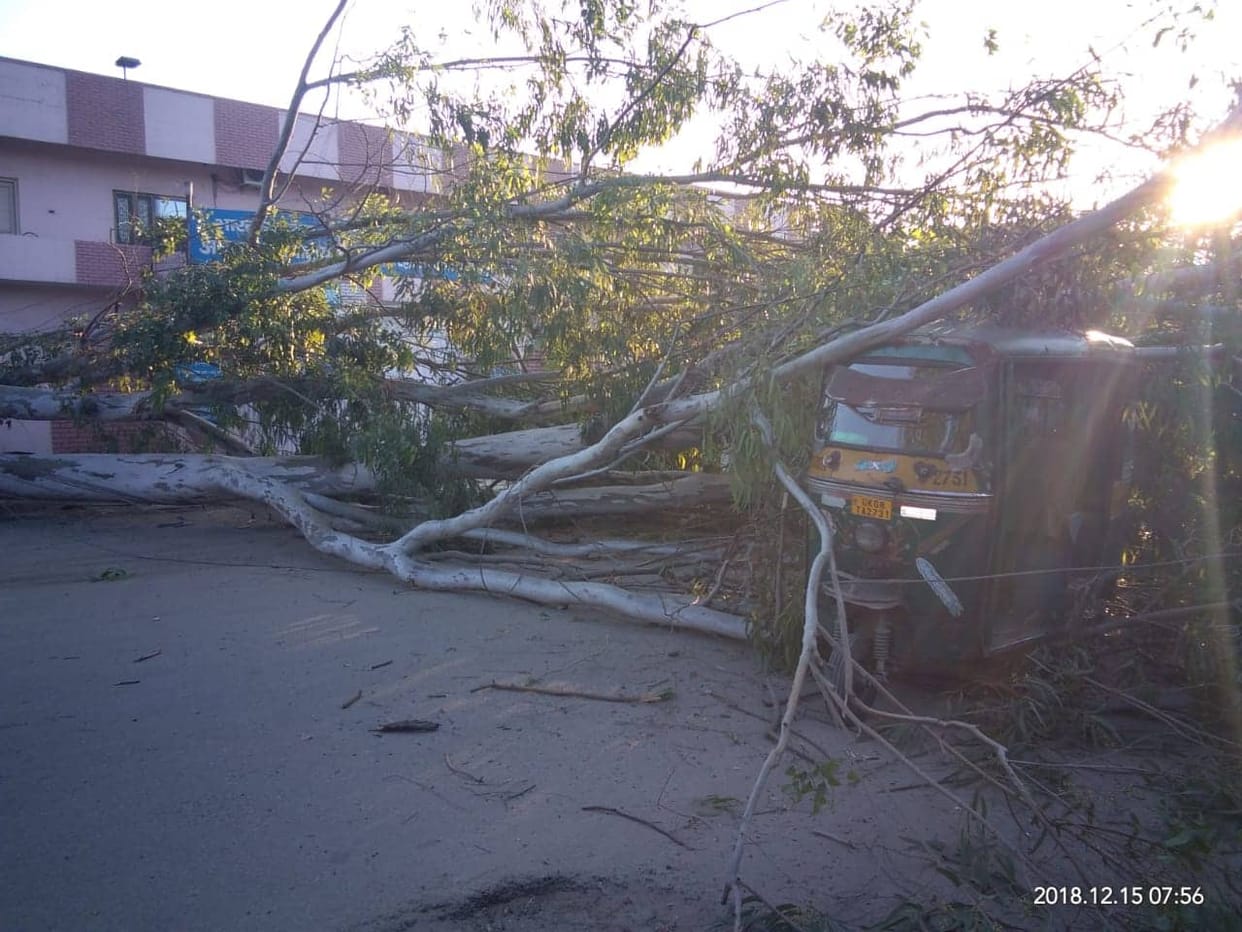 big tree and power supply line fell on school kids auto at haridwar