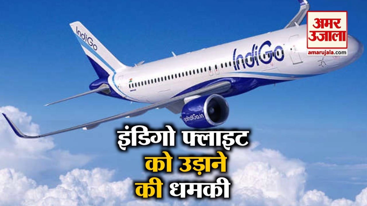 इंडिगो