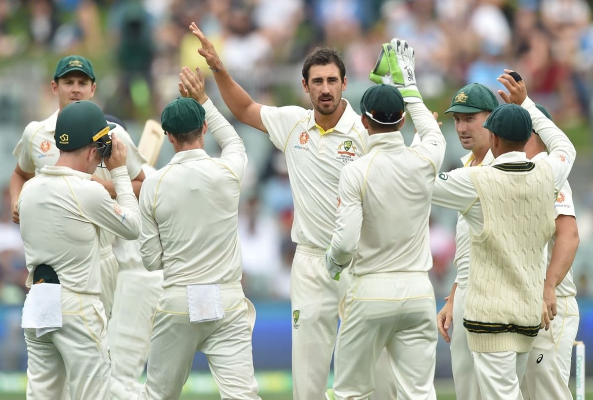 Mitchell Starc says Rating Perth pitch as average is disappointing, India vs Australia