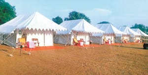 Triveni's Aarti will bring PM at the Sangam with the saints of the akhaas