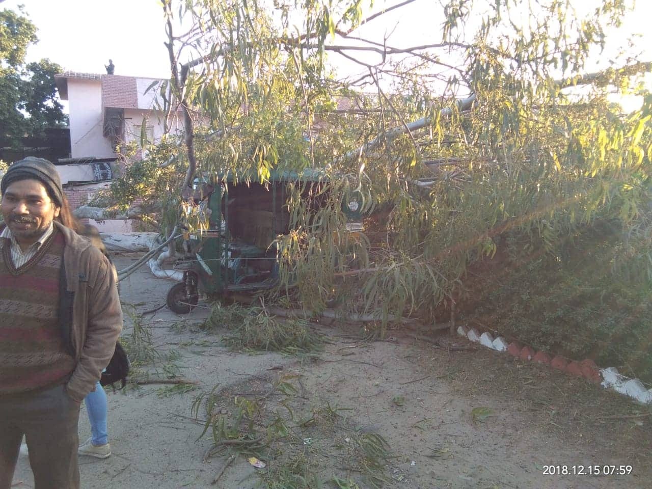 big tree and power supply line fell on school kids auto at haridwar